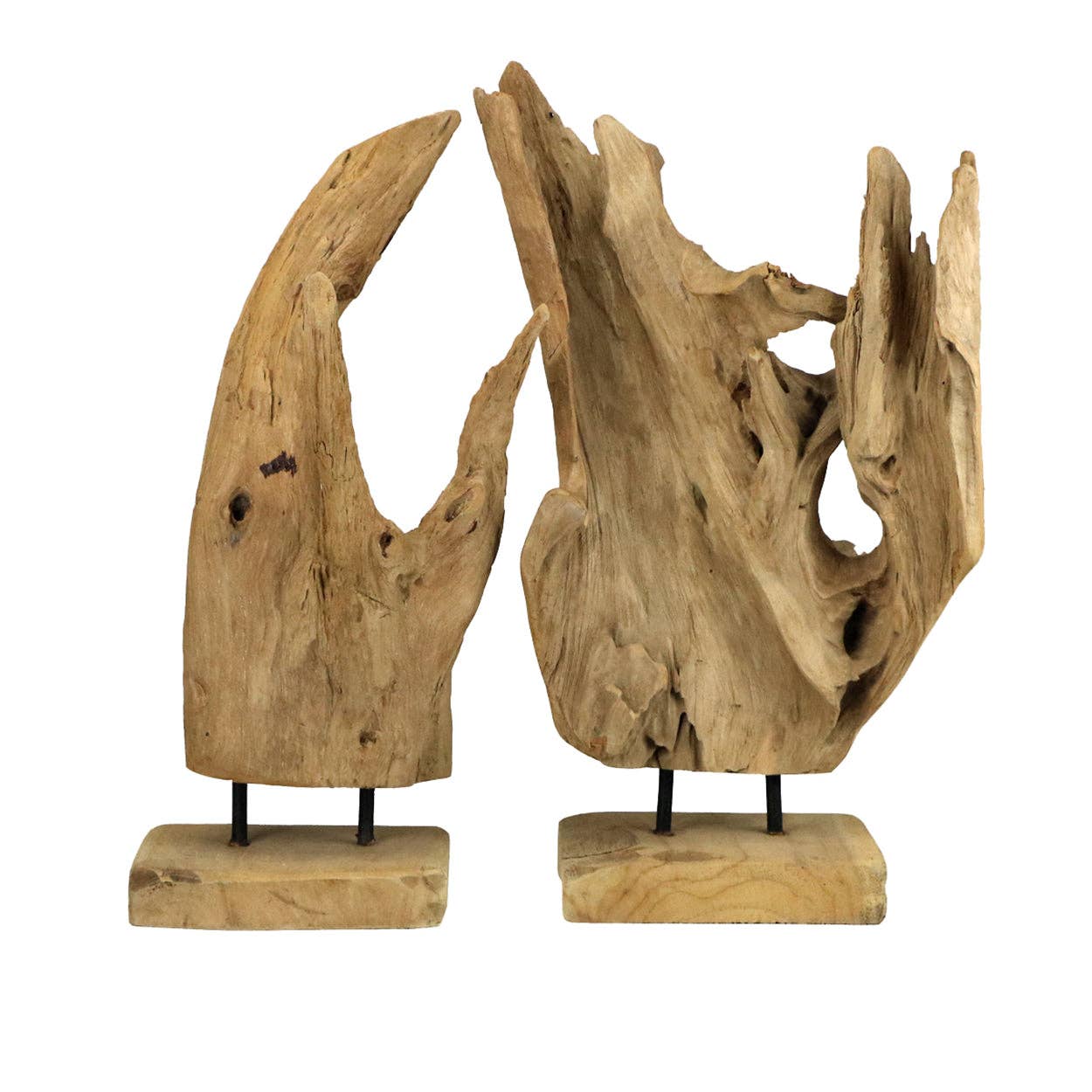 Driftwood on Base - Box Turtle
