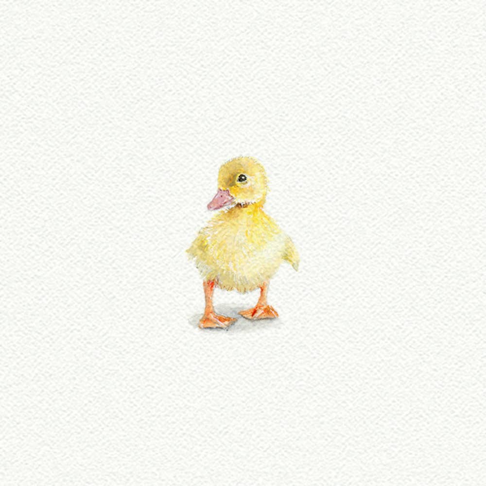 Duckling Miniature Watercolor Print - Box Turtle