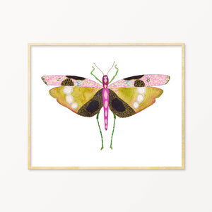 Grasshopper #3