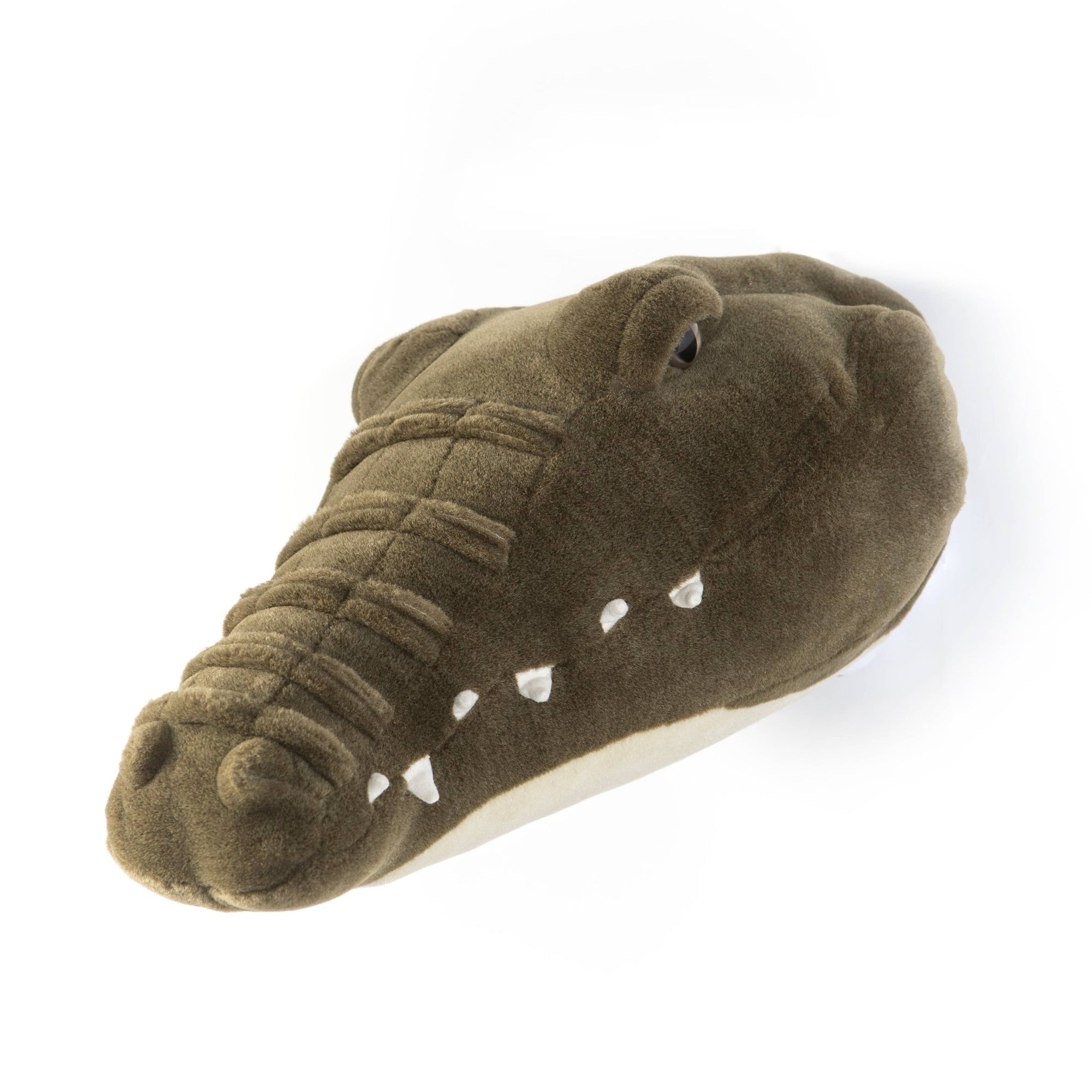 Frank the Crocodile Wall Hanger - Box Turtle