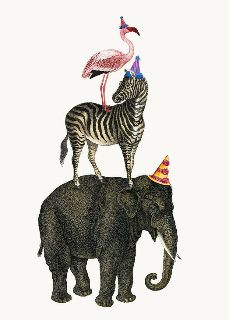 Happy Birthday Party Animal Card - Box Turtle