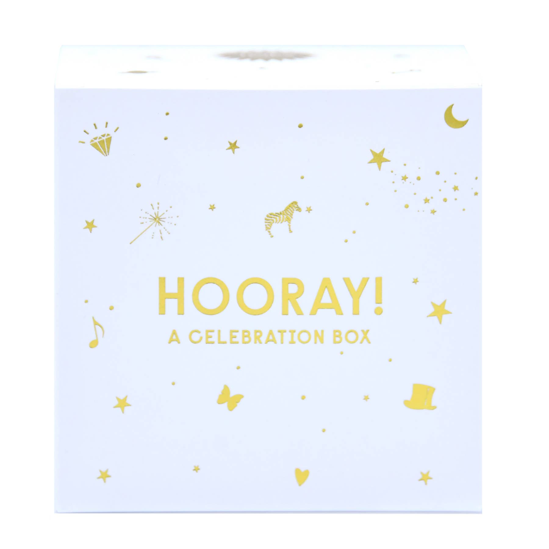 HOORAY! Celebration Box - Box Turtle