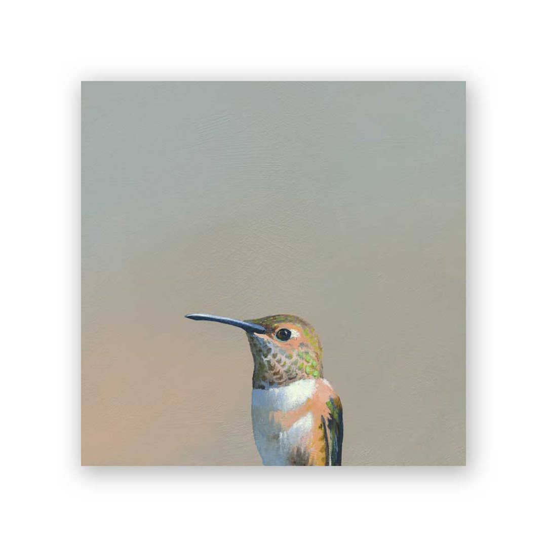 Hummingbird Wood Wall Art Decor - Box Turtle