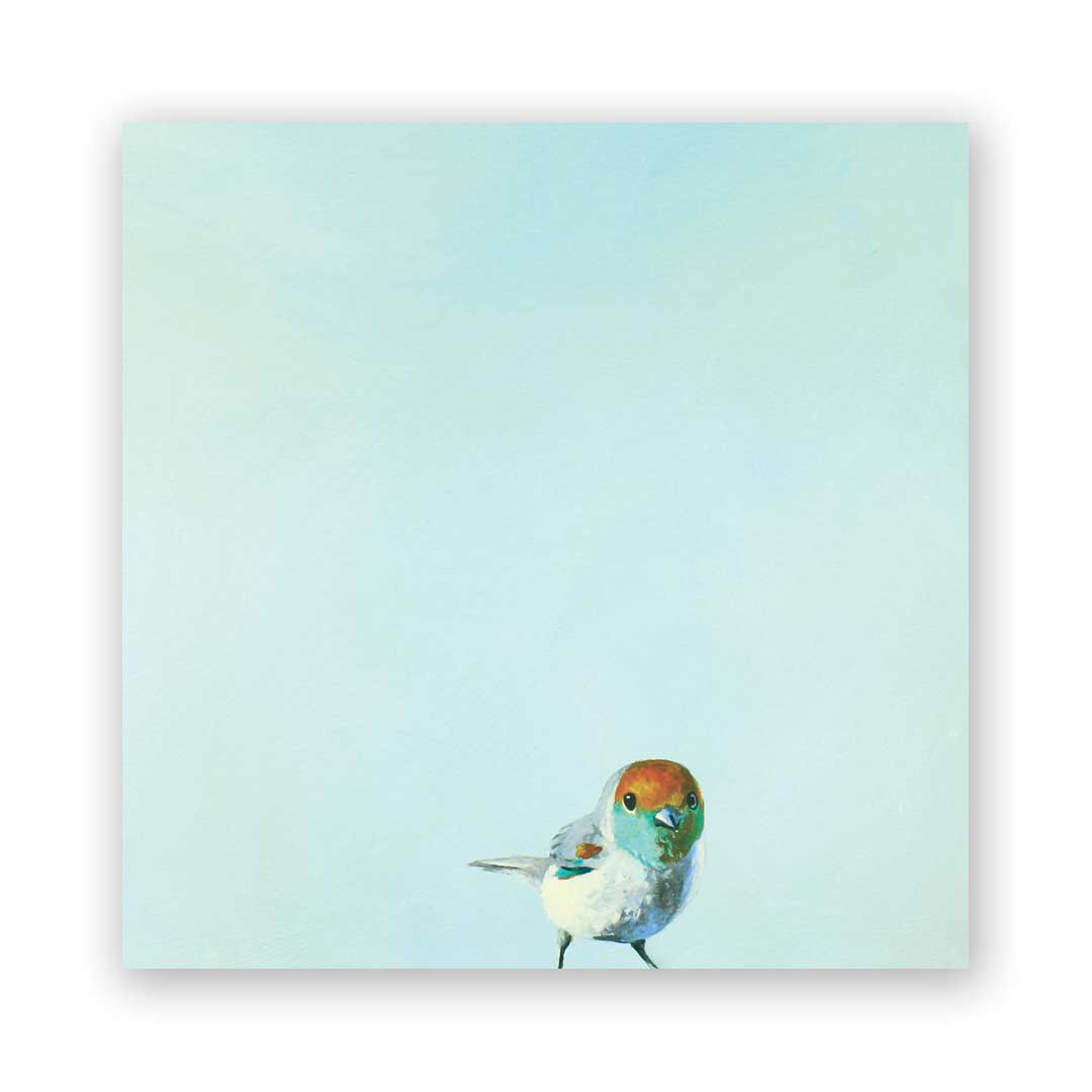 Joey Wood Wall Art - Box Turtle