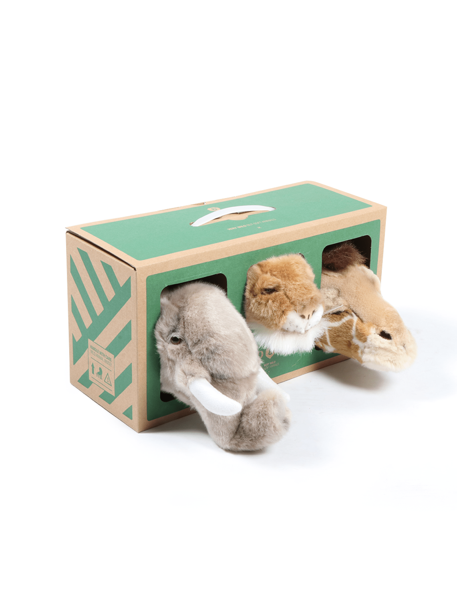 Lion/Elephant/Giraffe Mini Wall Hangings - Box Turtle