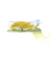 Emily Wood State Tree Watercolor Prints