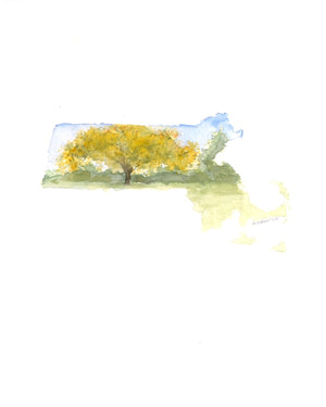 Emily Wood State Tree Watercolor Prints