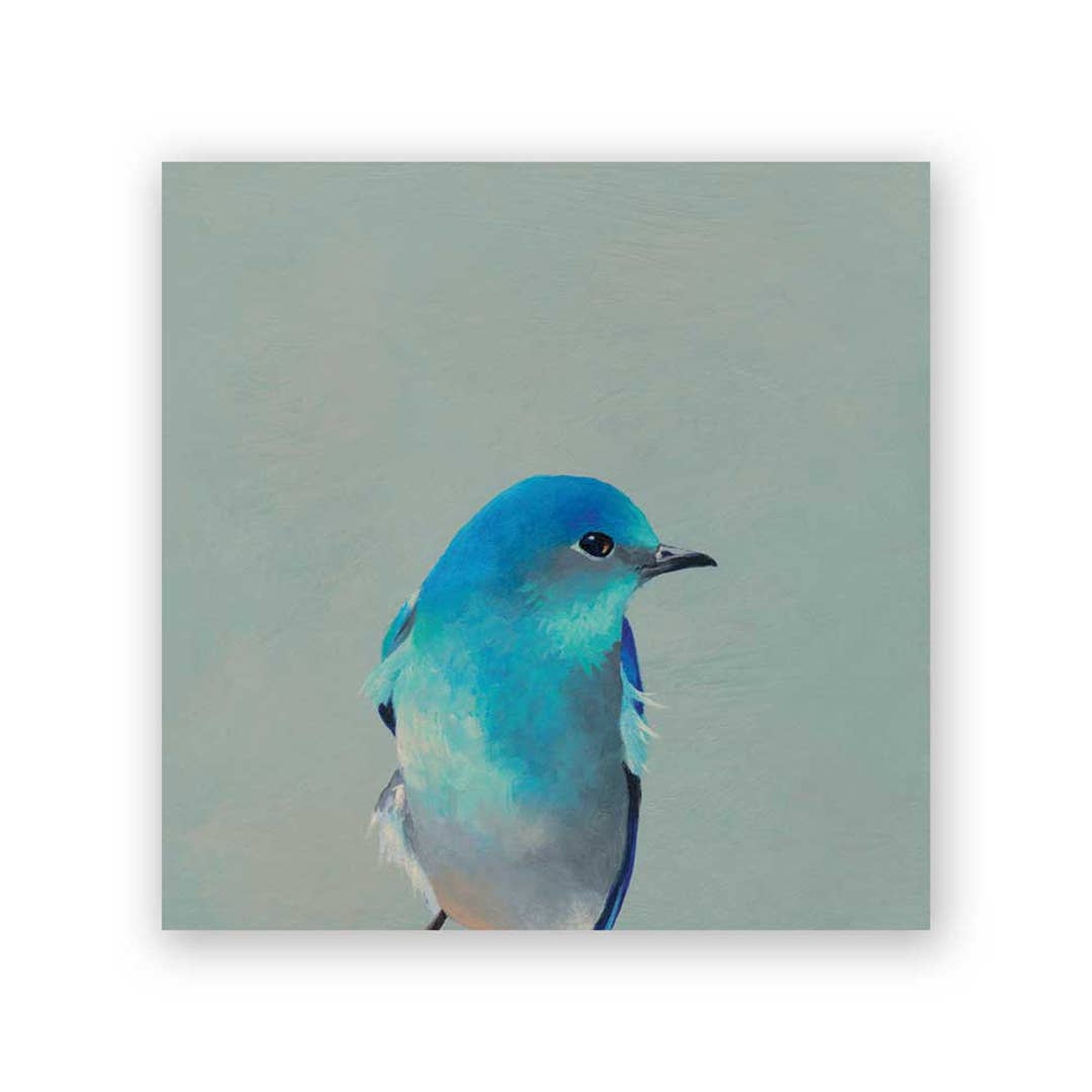 Mountain Bluebird Wood Wall Art - Box Turtle