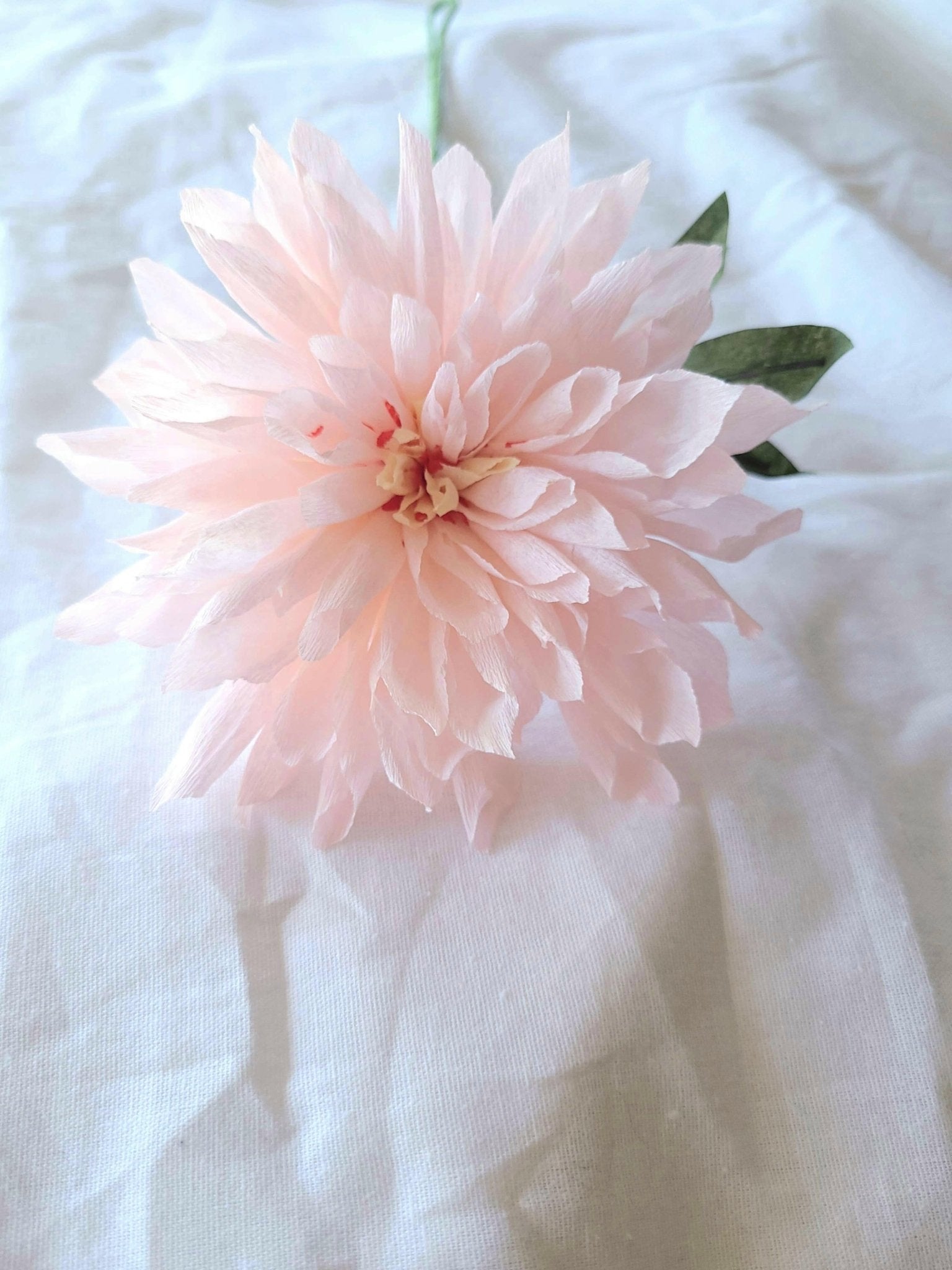 paper dahlia - Box Turtle