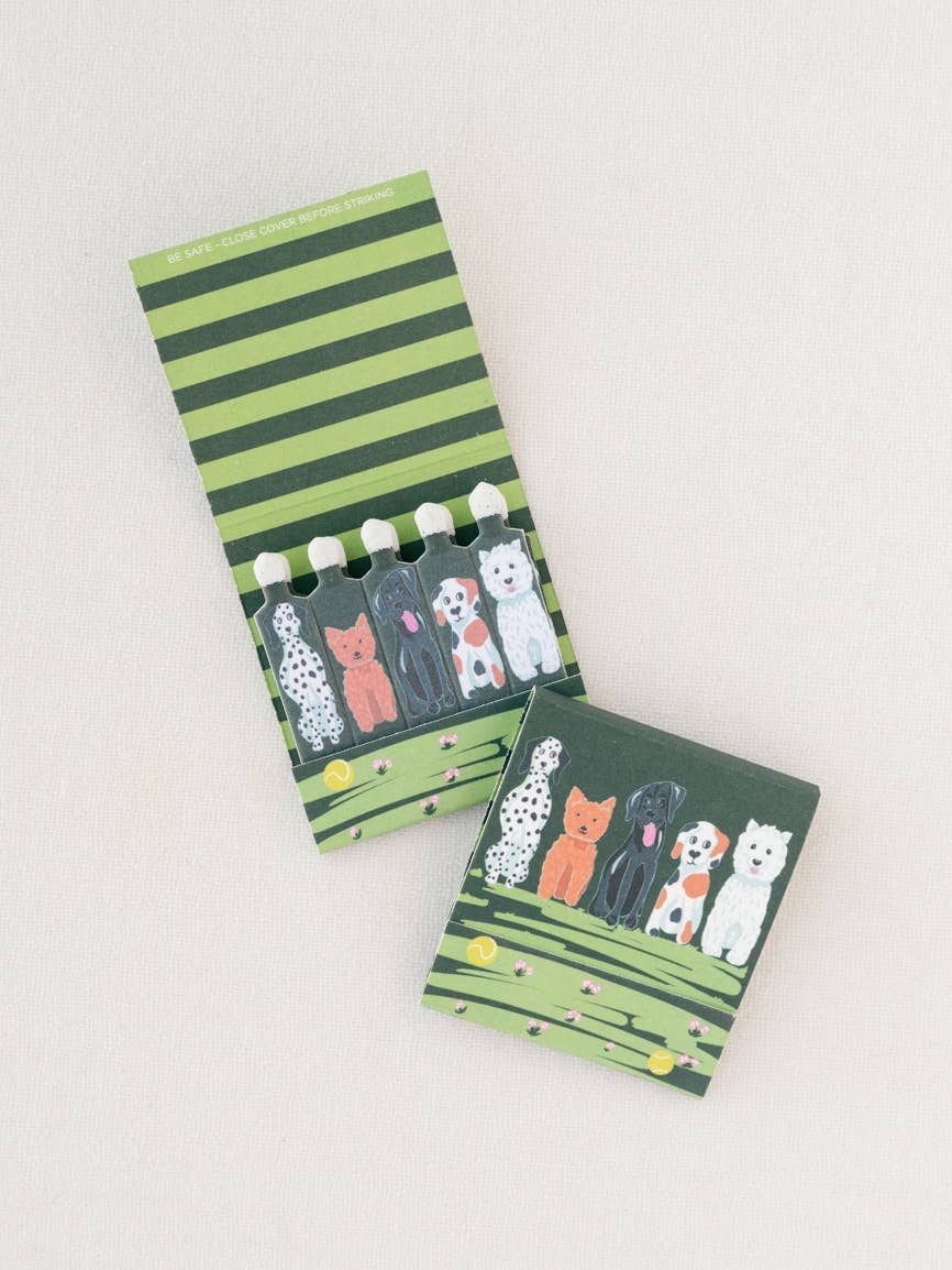 Puppy Pals Matchbook - Box Turtle