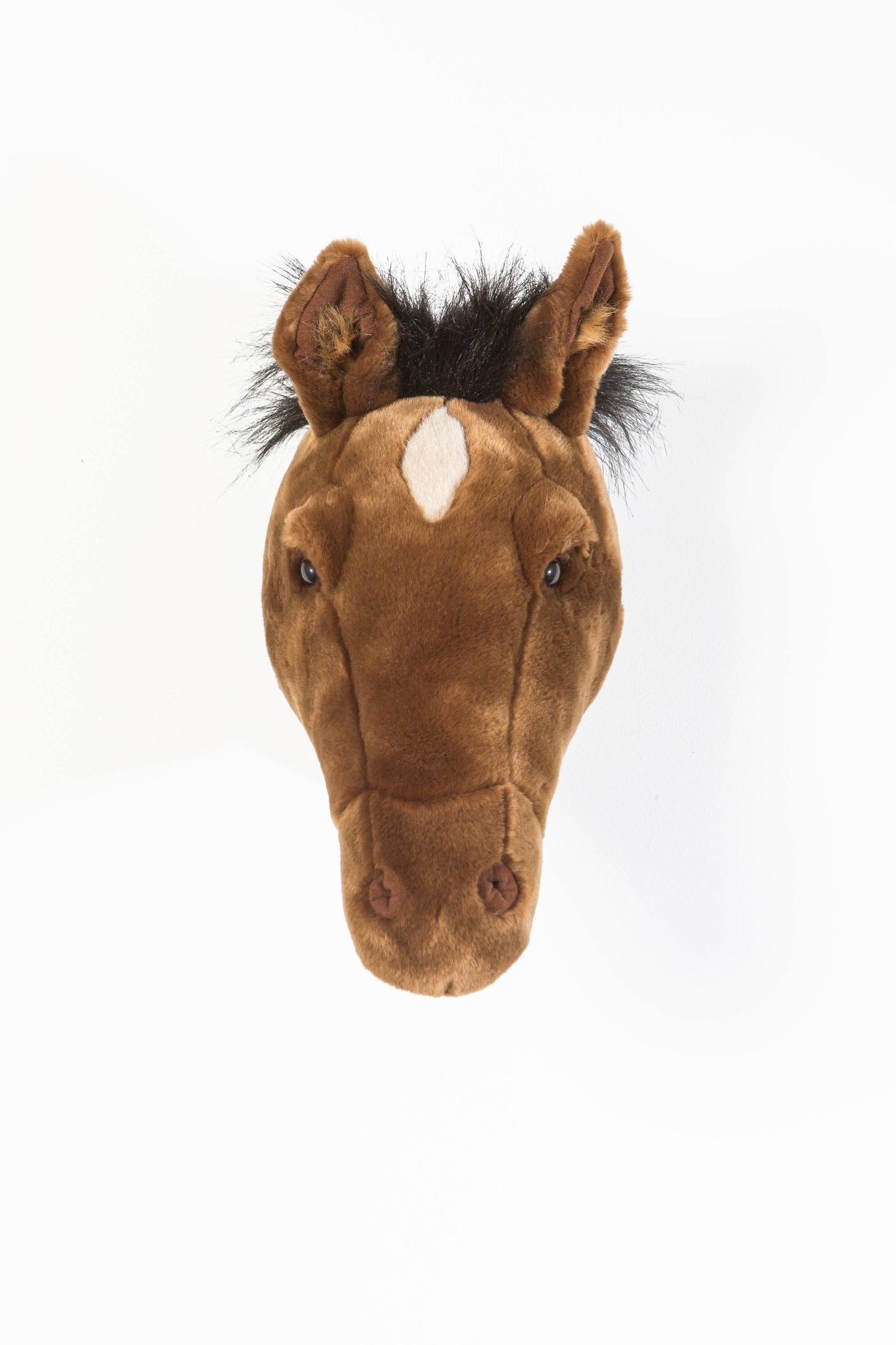 Scarlett the Horse Wall Hanger - Box Turtle