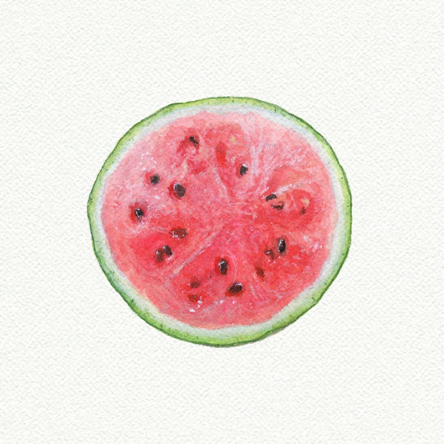 Watermelon Slice Miniature Watercolor Painting - Box Turtle
